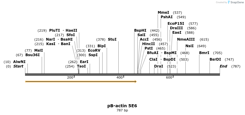 50826_map