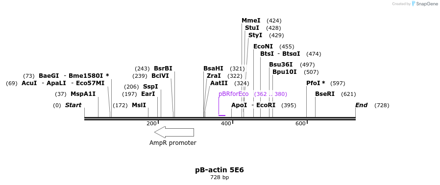 50828_map
