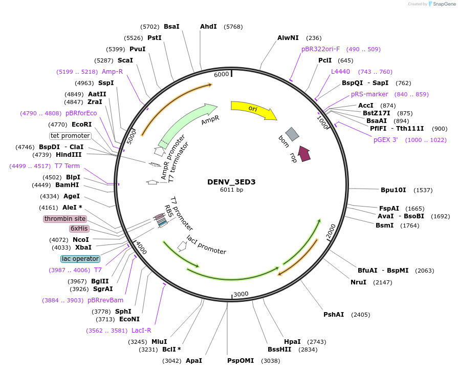 508309_map