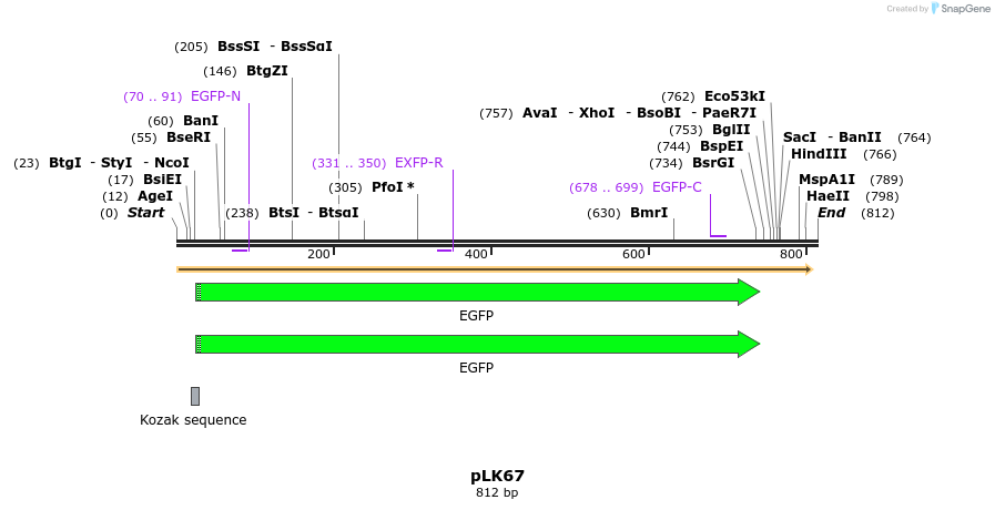 50831_map