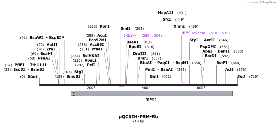 50832_map