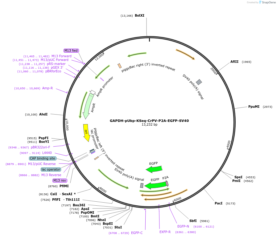 508353_map