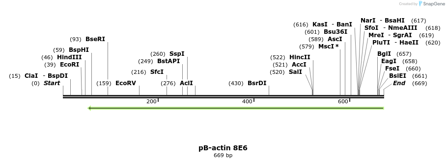 50836_map