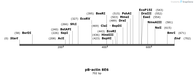 50837_map