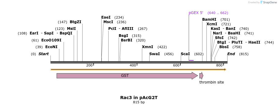 50841_map