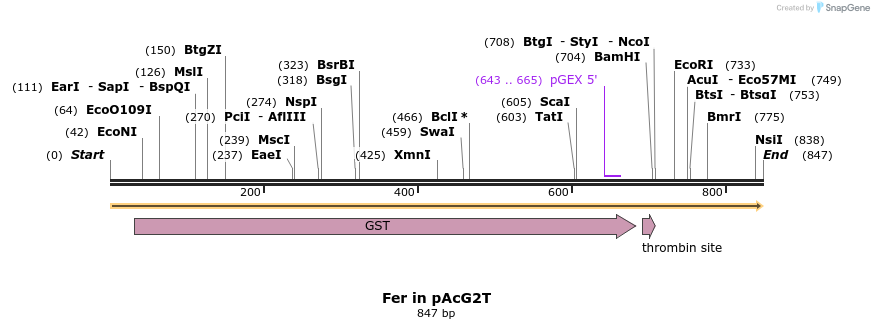50842_map
