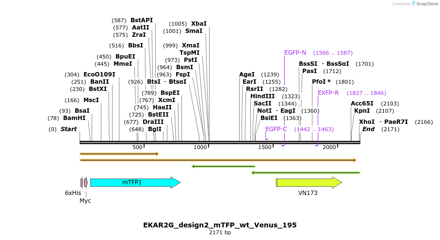 50845_map