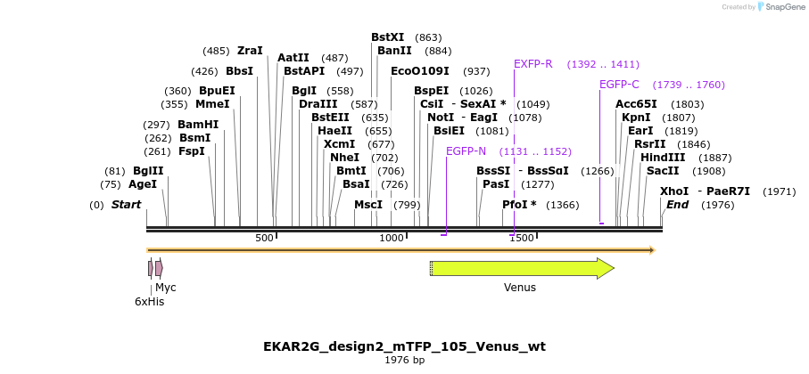 50847_map