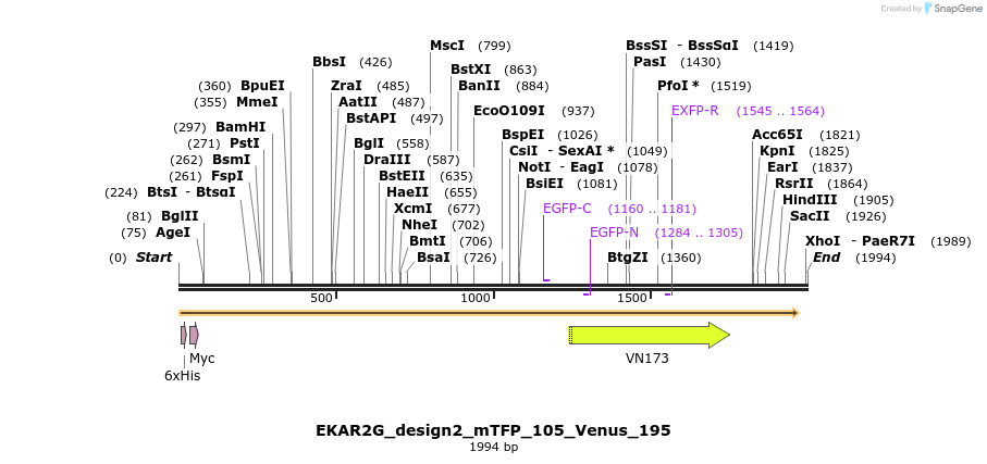 50850_map