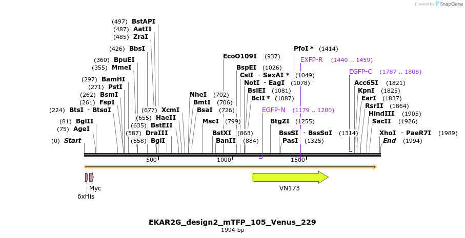 50851_map