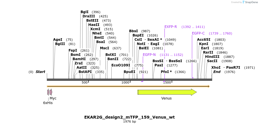 50852_map