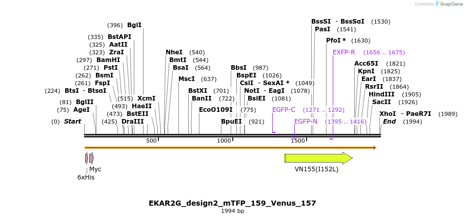 50853_map