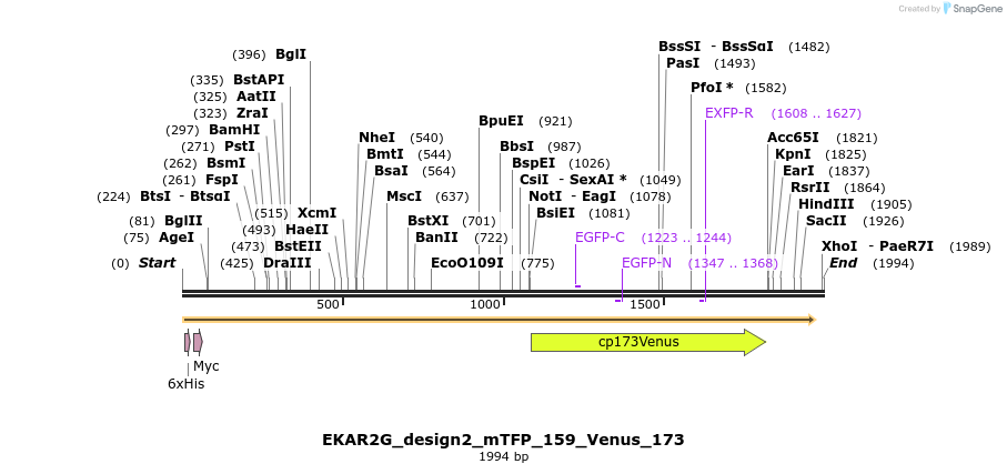 50854_map