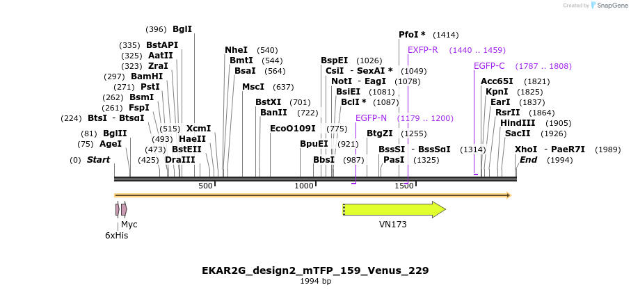 50856_map