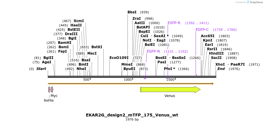 50857_map