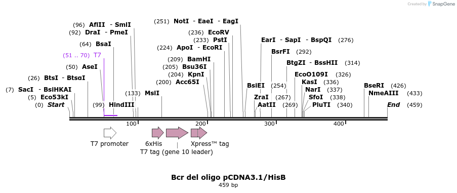 50860_map