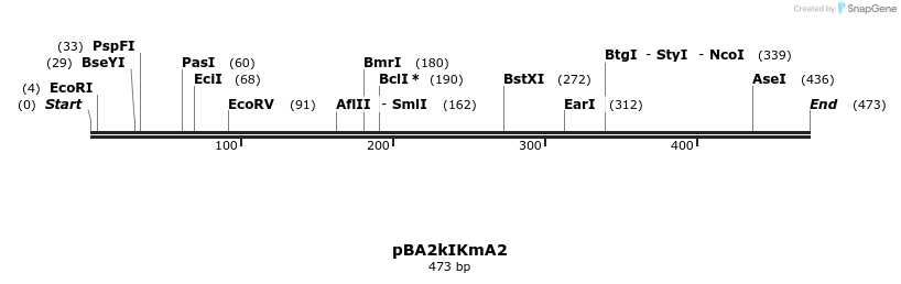 50863_map