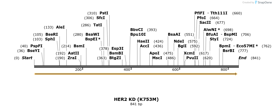 50870_map