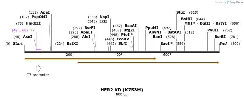 50879_map