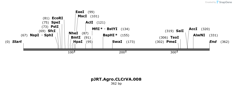50882_map