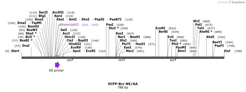 50884_map