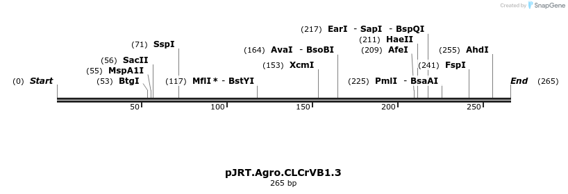 50890_map