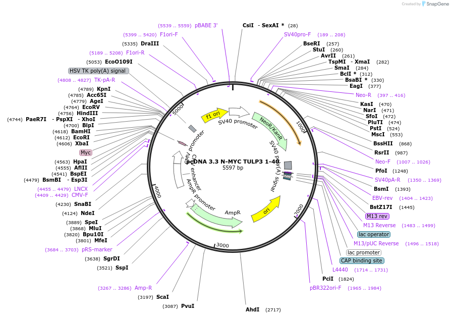 508915_map