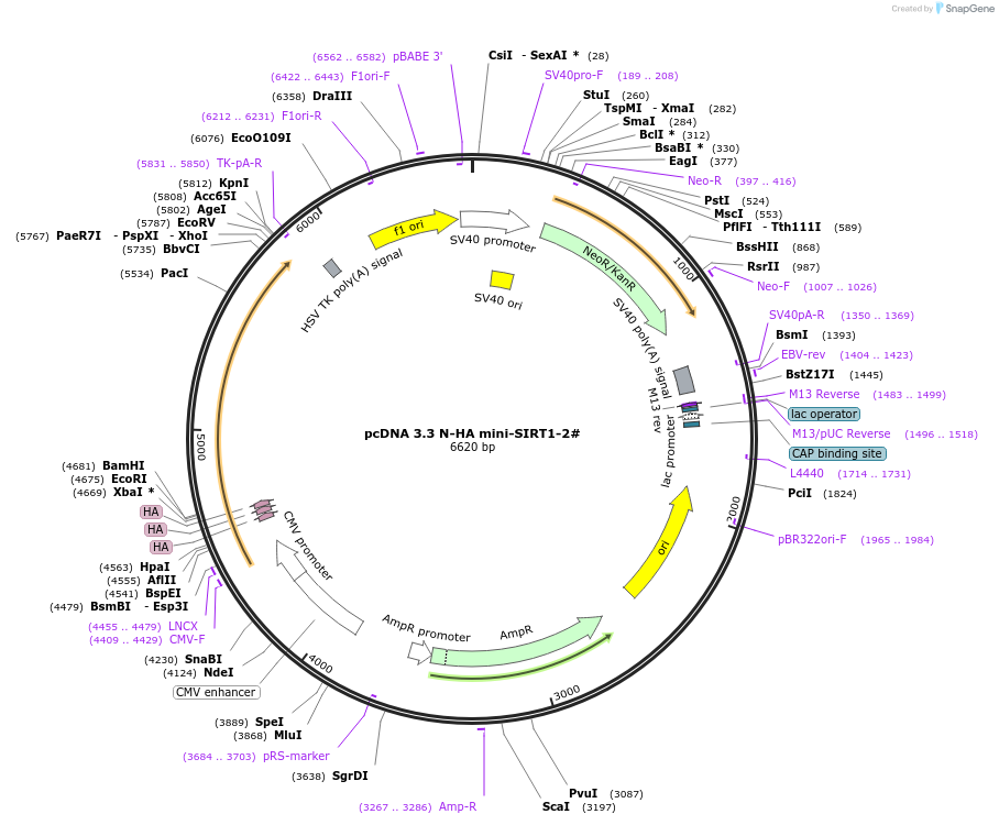 508920_map