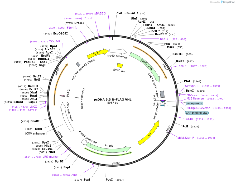 508931_map