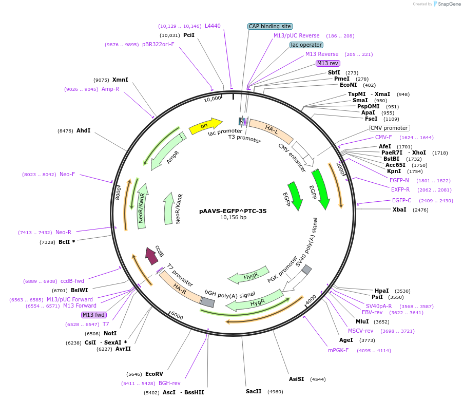 508948_map