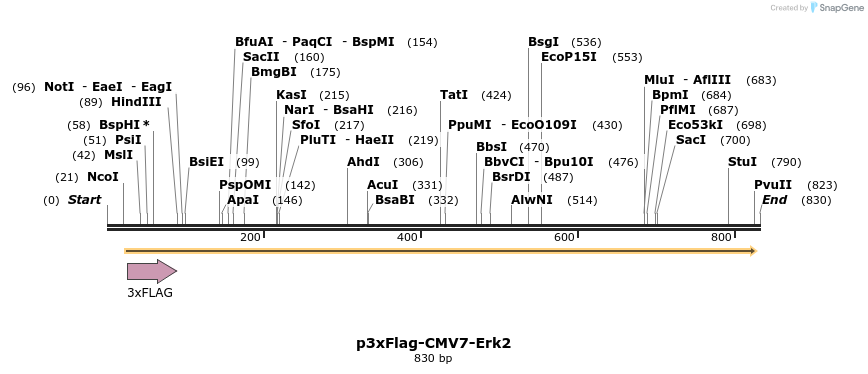 50900_map