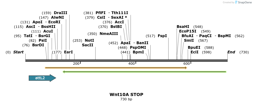 50901_map
