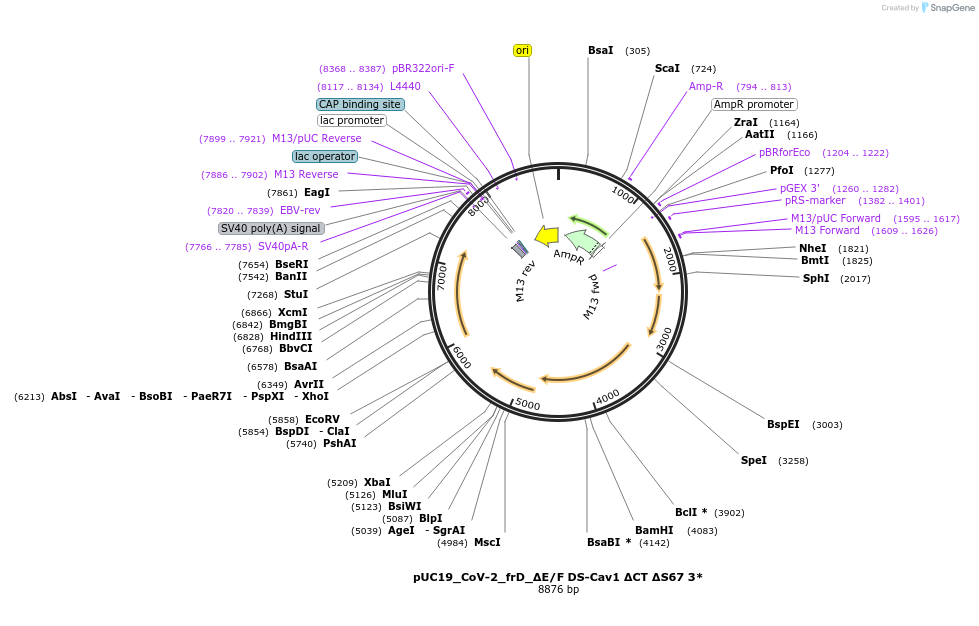 509025_map