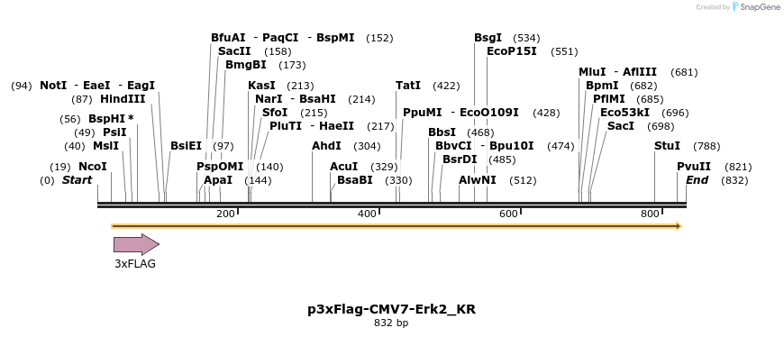 50903_map