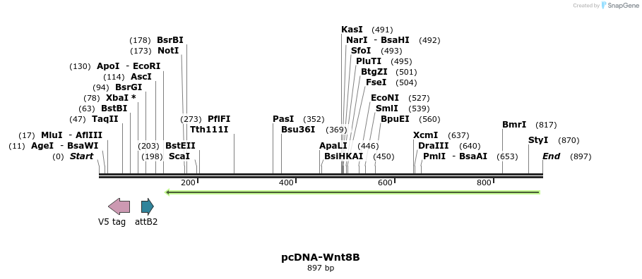 50908_map