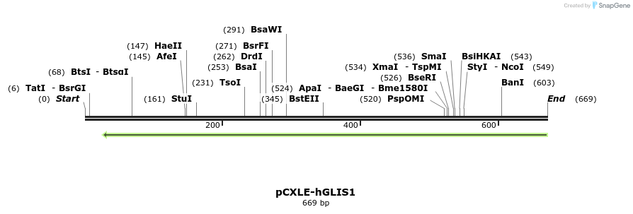 50909_map