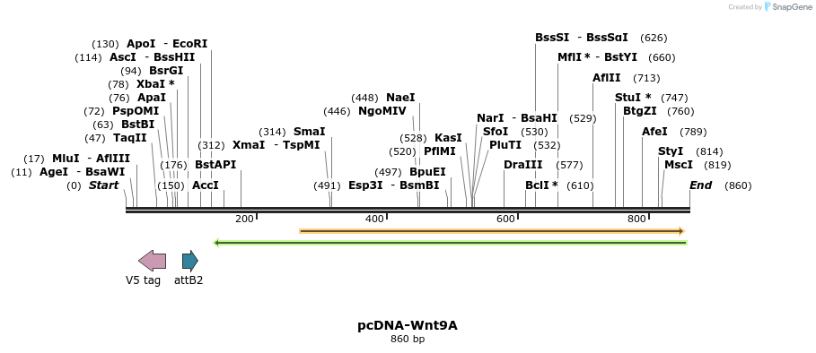 50910_map