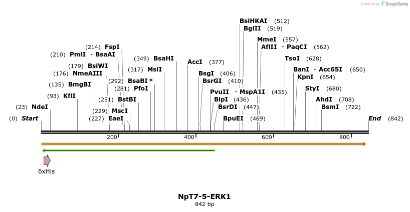 50912_map