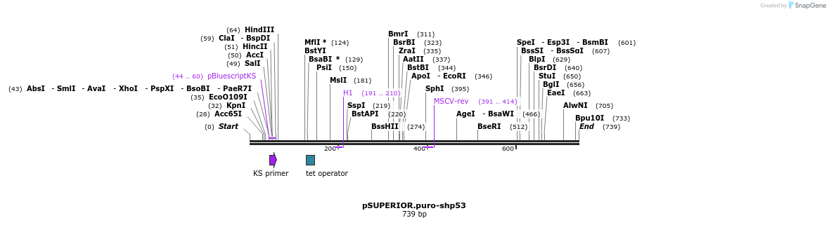 50927_map