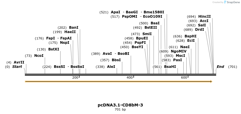 50936_map