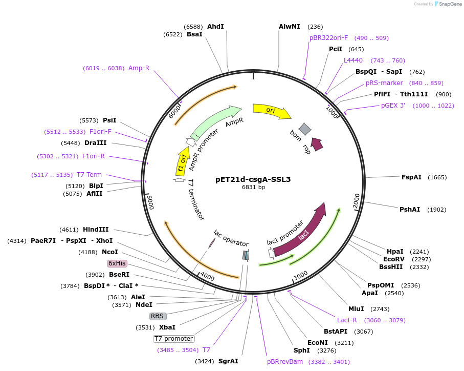509421_map