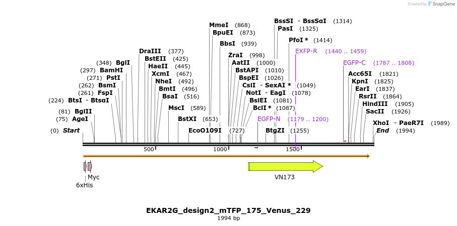 50947_map