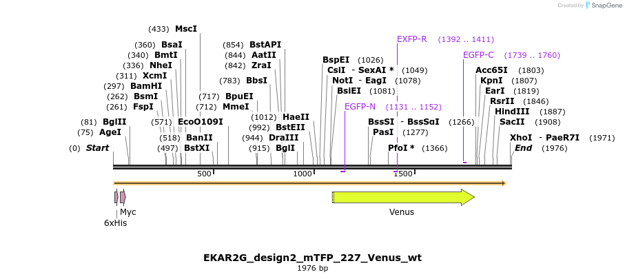 50948_map