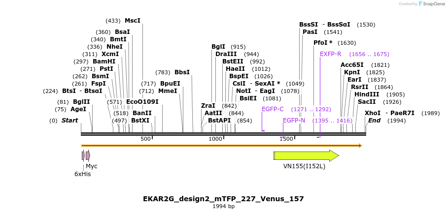 50949_map