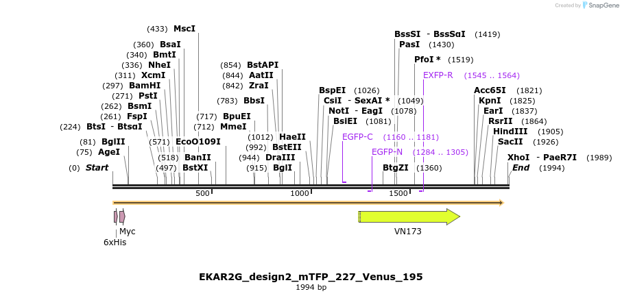 50951_map