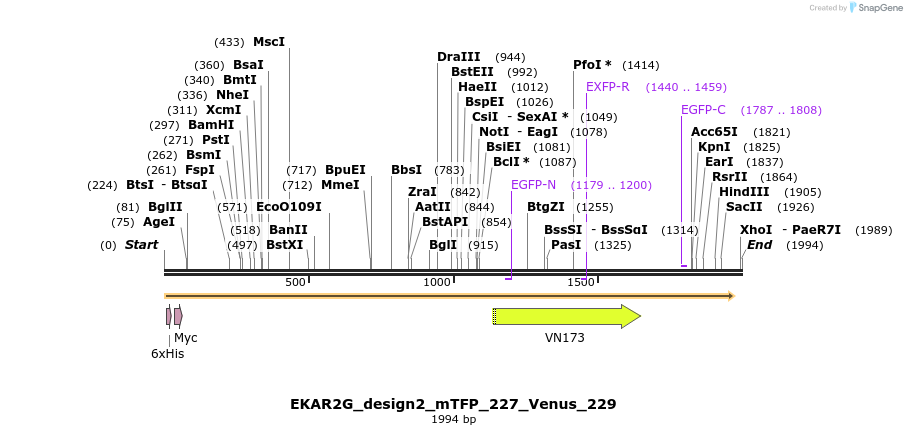 50952_map