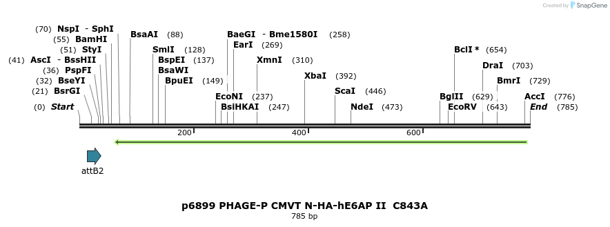 50954_map