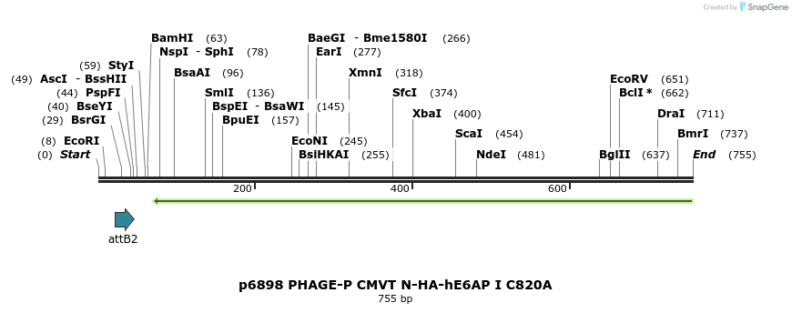 50955_map