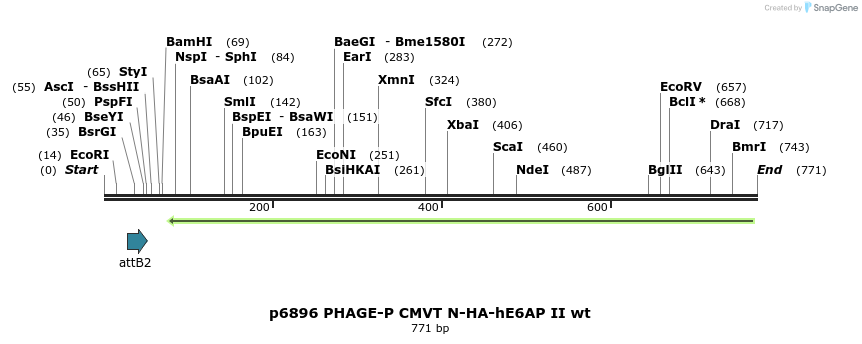 50957_map