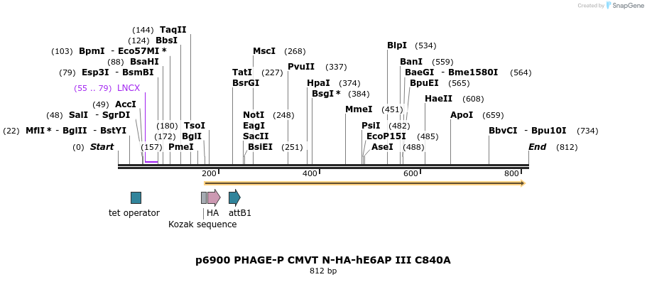 50958_map